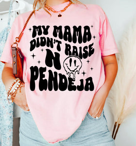 My Mama Didnt Raise No Pendeja T-Shirt